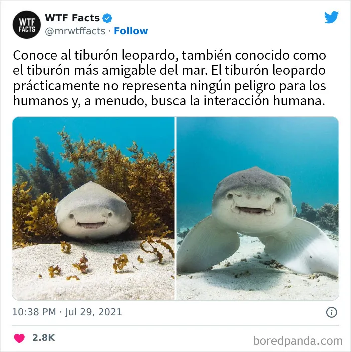 20 Datos tan extraños como verdaderos compartidos en twitter
