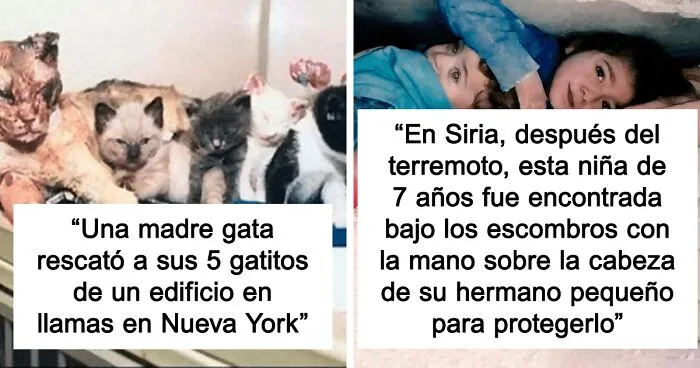 20 Datos tan extraños como verdaderos compartidos en twitter