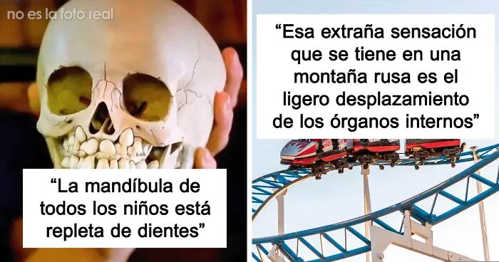 25 Datos terroríficos sobre nuestro cuerpo que probablemente no quieras saber