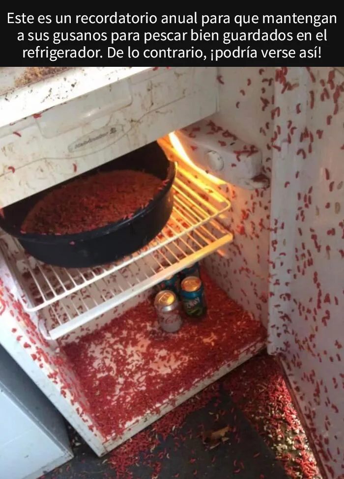 20 Personas tan asqueadas por estas comidas que tuvieron que compartirlas (nuevas fotos)