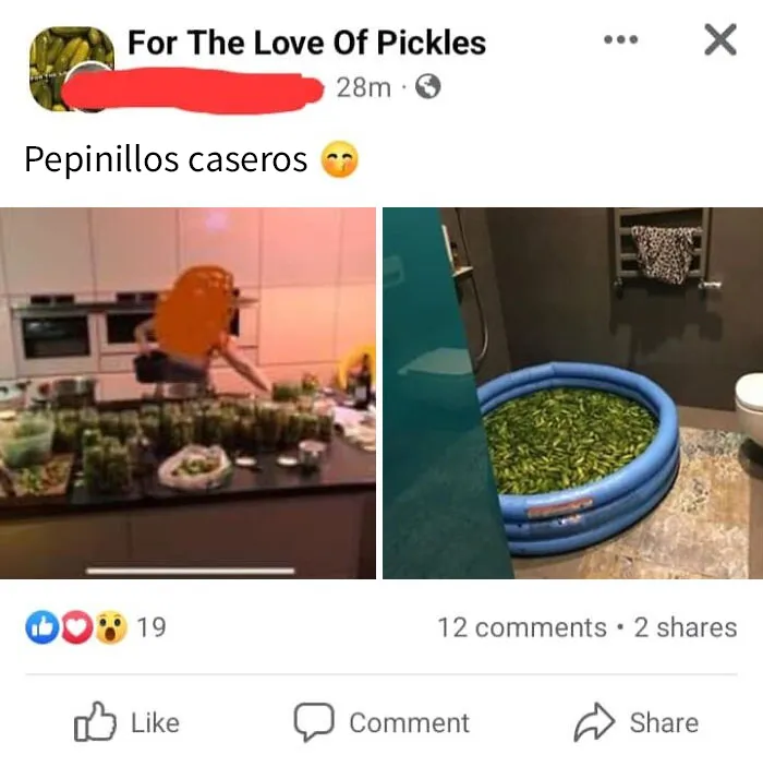 20 Personas tan asqueadas por estas comidas que tuvieron que compartirlas (nuevas fotos)