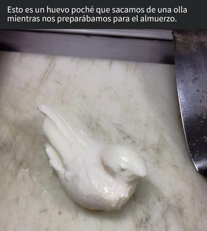 20 Personas tan asqueadas por estas comidas que tuvieron que compartirlas (nuevas fotos)