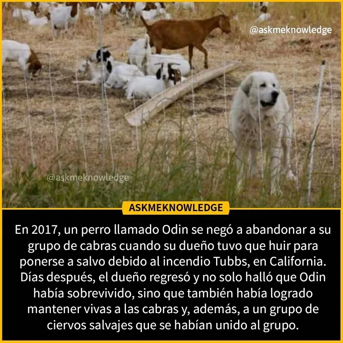 20 Datos interesante sobre el mundo que quizá no sepas, compartidos en Instagram