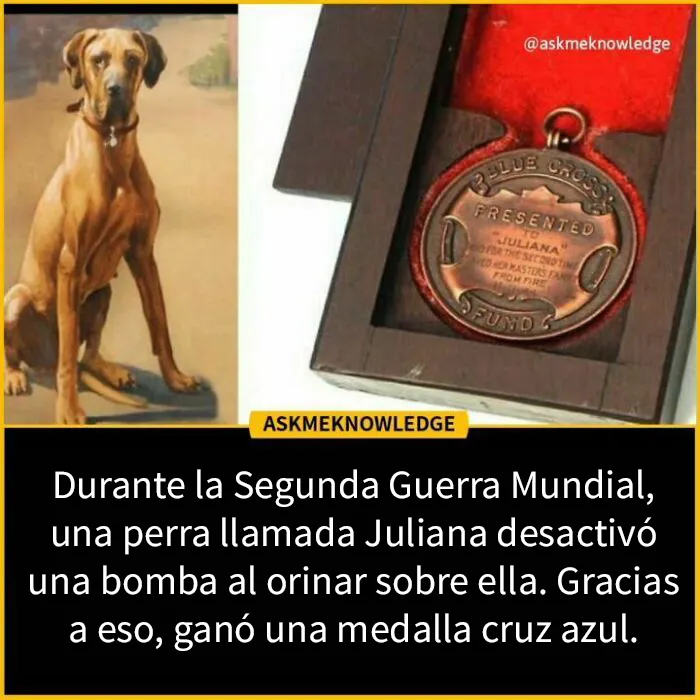 20 Datos interesante sobre el mundo que quizá no sepas, compartidos en Instagram