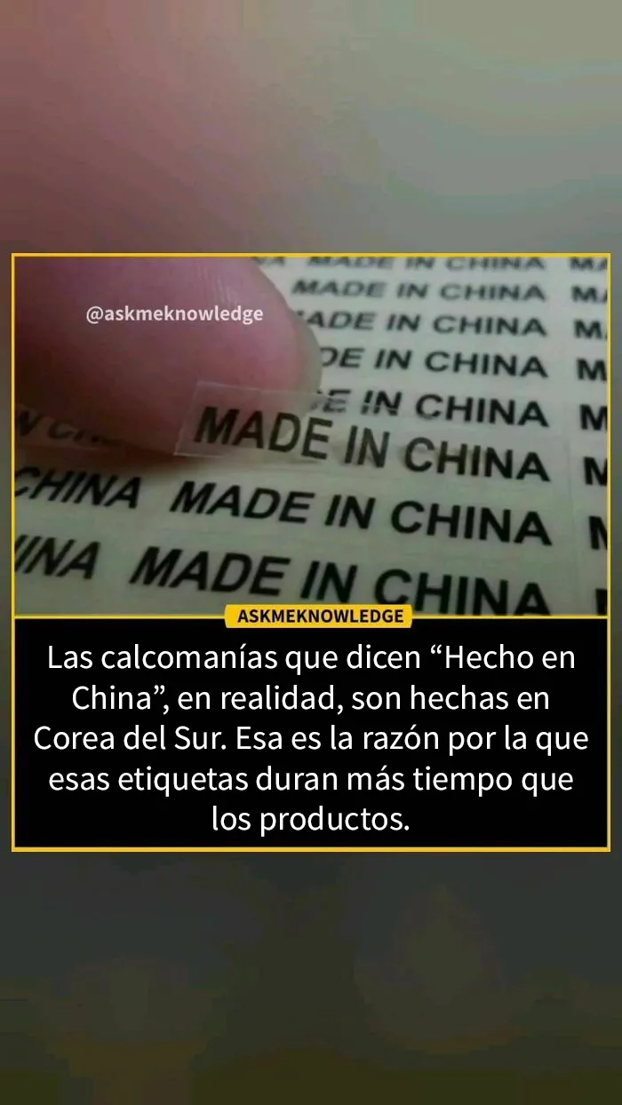 20 Datos interesante sobre el mundo que quizá no sepas, compartidos en Instagram