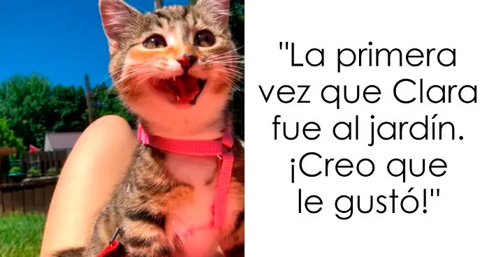40 Reacciones adorables de mascotas probando algo por 1ª vez, y son divertidísimas
