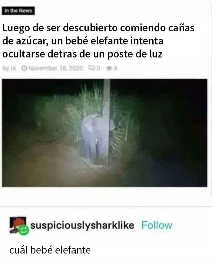 30 Memes tan absurdos como caóticos que te harán cuestionarte muchas cosas