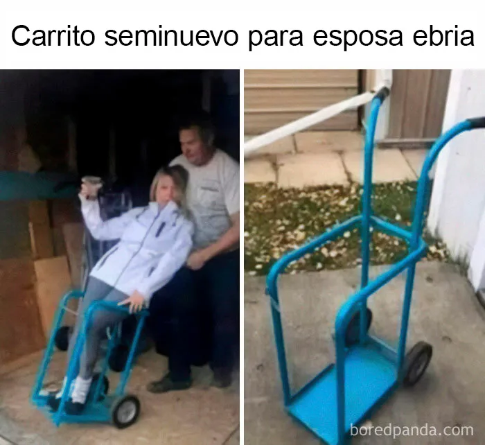 30 Memes tan absurdos como caóticos que te harán cuestionarte muchas cosas