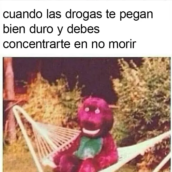 30 Memes tan absurdos como caóticos que te harán cuestionarte muchas cosas