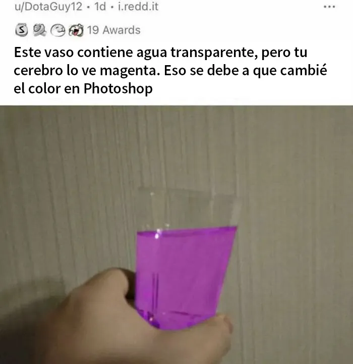 30 Memes tan absurdos como caóticos que te harán cuestionarte muchas cosas
