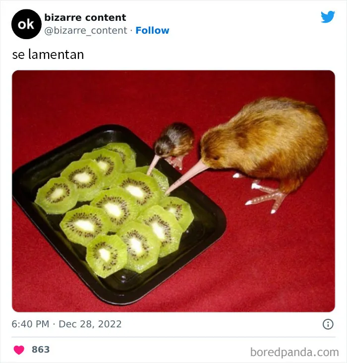 25 Publicaciones inexplicables que te dejarán perplejo