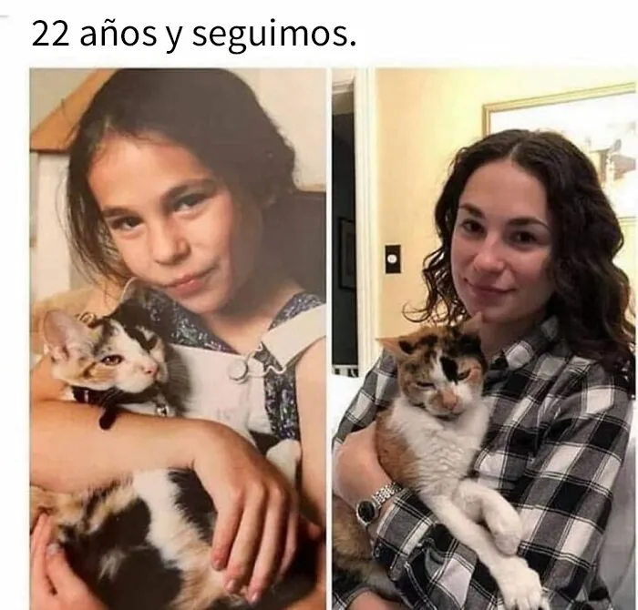 20 Divertidas publicaciones de gatos que sus dueños tenían que compartir con el mundo