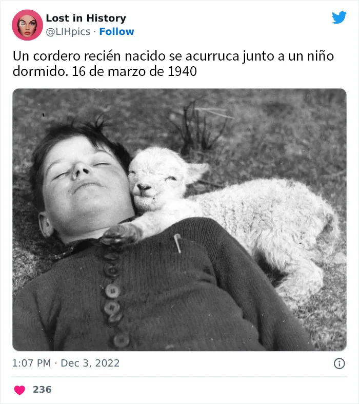 20 Momentos geniales de la historia que no son muy conocidos, compartidos en Twitter