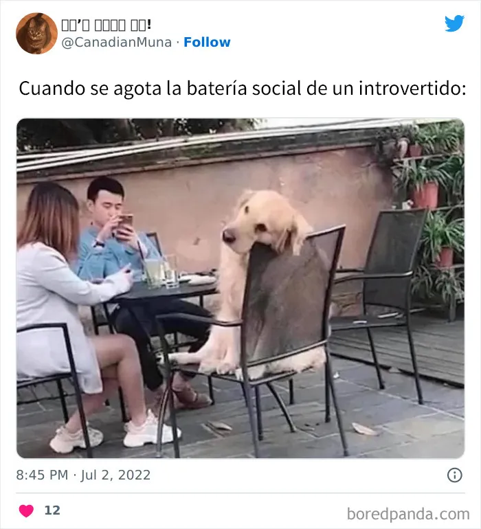 20 Divertidas publicaciones que entenderán tus amigos introvertidos
