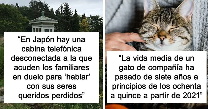 "Hoy aprendí": 25 Datos interesantes sobre el mundo que quizá no sabías
