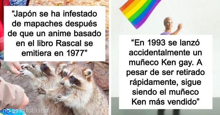 "Hoy aprendí": 30 Datos no tan conocidos que deberían ser de dominio público