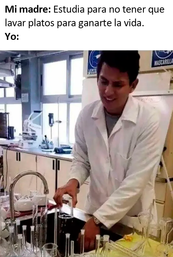 20 Divertidos memes científicos que mezclan conocimiento y humor