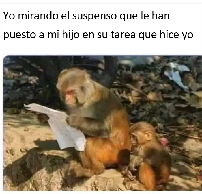 20 Divertidos memes científicos que mezclan conocimiento y humor
