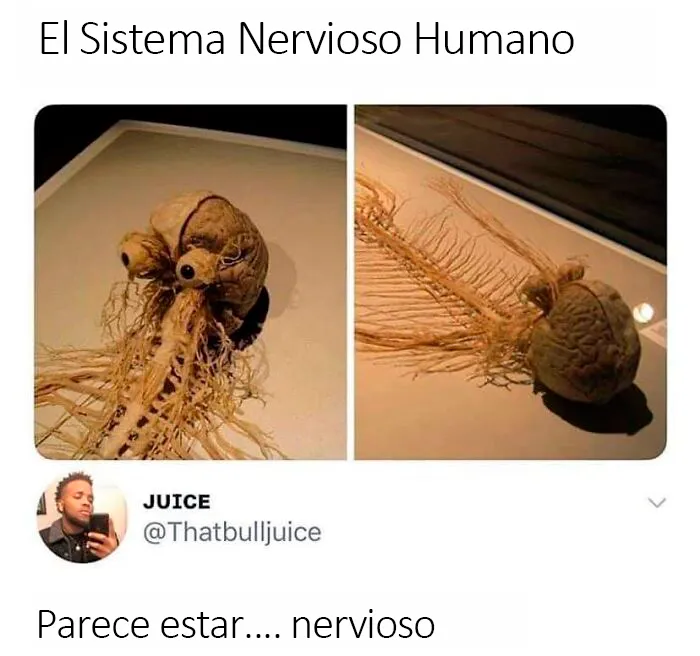 20 Divertidos memes científicos para hacer que te sientas un poco más inteligente