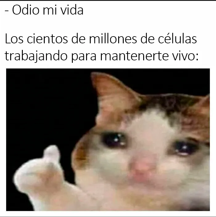 20 Divertidos memes científicos para hacer que te sientas un poco más inteligente
