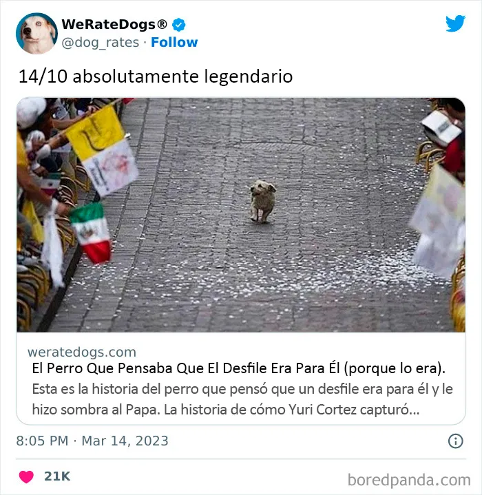 22 Personas que pidieron una valoración de sus perros y recibieron respuestas buenísimas (nuevas fotos)