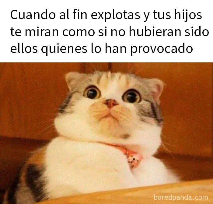 20 Divertidos memes y publicaciones de padres con los que identificarse