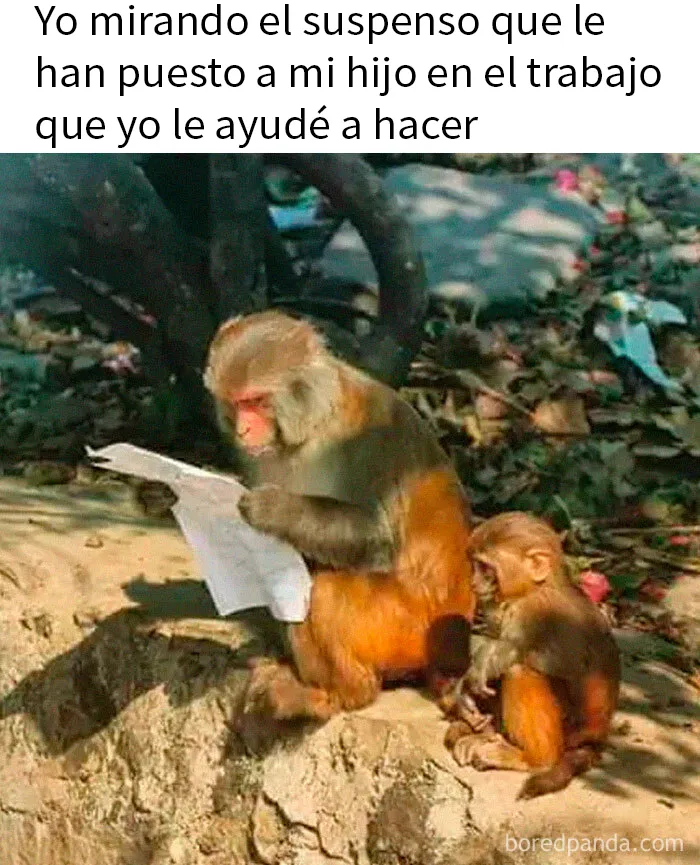 20 Divertidos memes y publicaciones de padres con los que identificarse