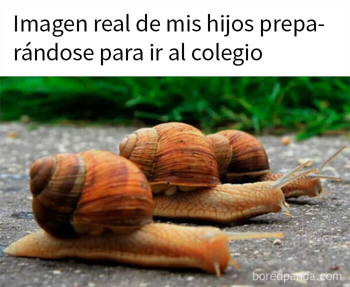 20 Divertidos memes y publicaciones de padres con los que identificarse