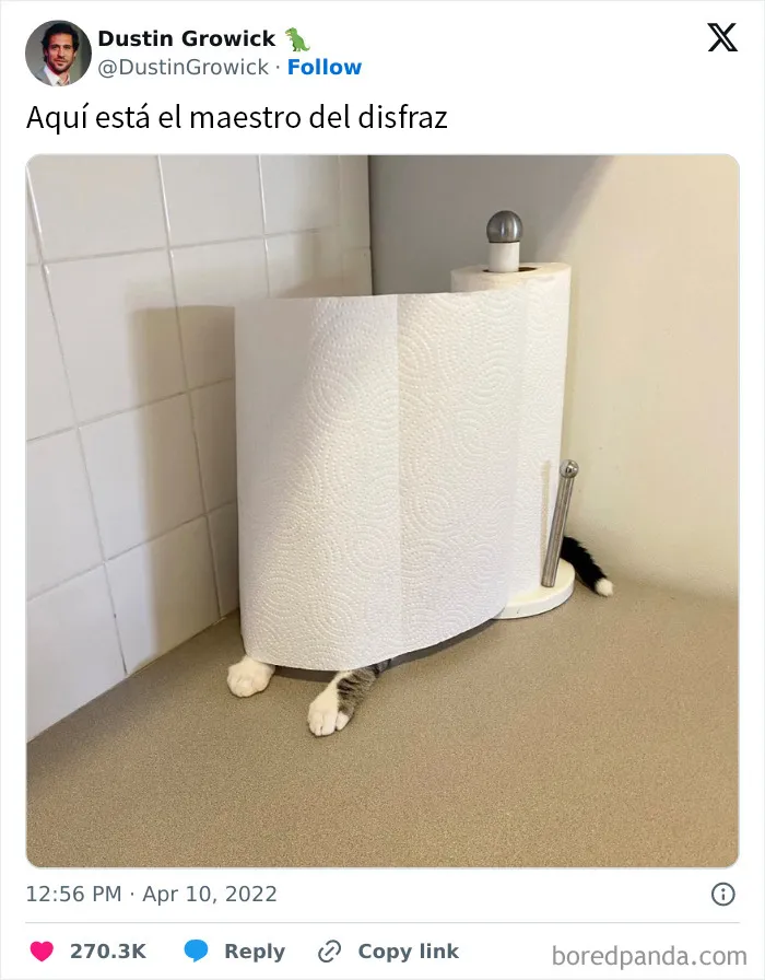 20 De los mejores memes de la cuenta "Beige Cardigan"