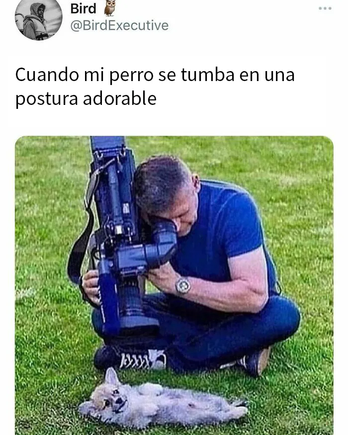 20 De los mejores memes de la cuenta "Beige Cardigan"