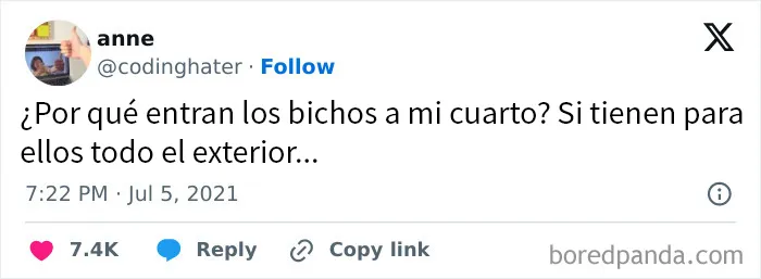 20 De los mejores memes de la cuenta "Beige Cardigan"