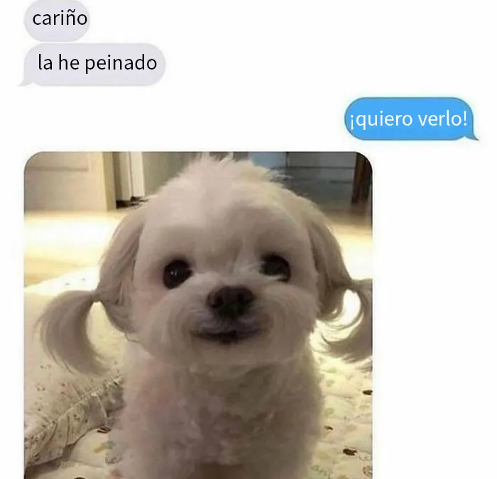 20 De los mejores memes de la cuenta "Beige Cardigan"