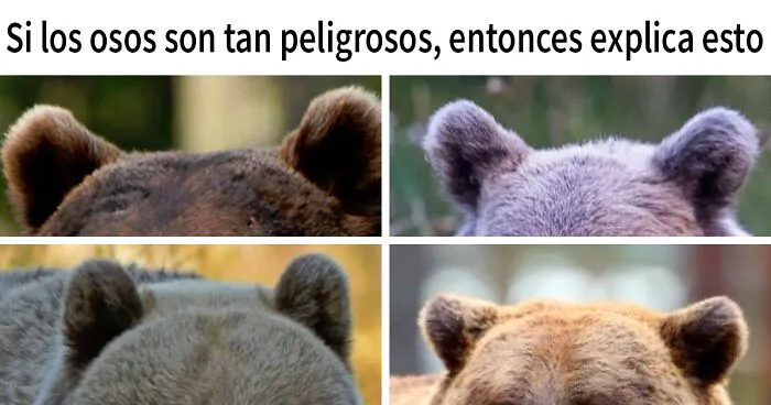 20 De los mejores memes de la cuenta "Beige Cardigan"