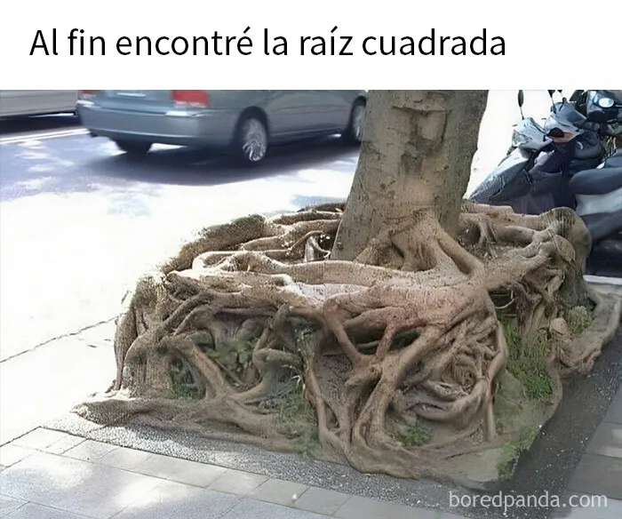 20 Ingeniosos memes sobre ciencia con los que aprendes y te ríes a la vez