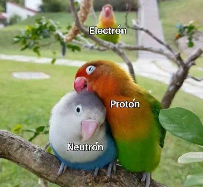 20 Ingeniosos memes sobre ciencia con los que aprendes y te ríes a la vez