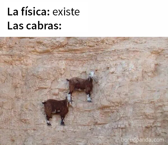 20 Ingeniosos memes sobre ciencia con los que aprendes y te ríes a la vez