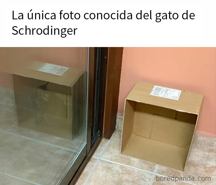20 Ingeniosos memes sobre ciencia con los que aprendes y te ríes a la vez