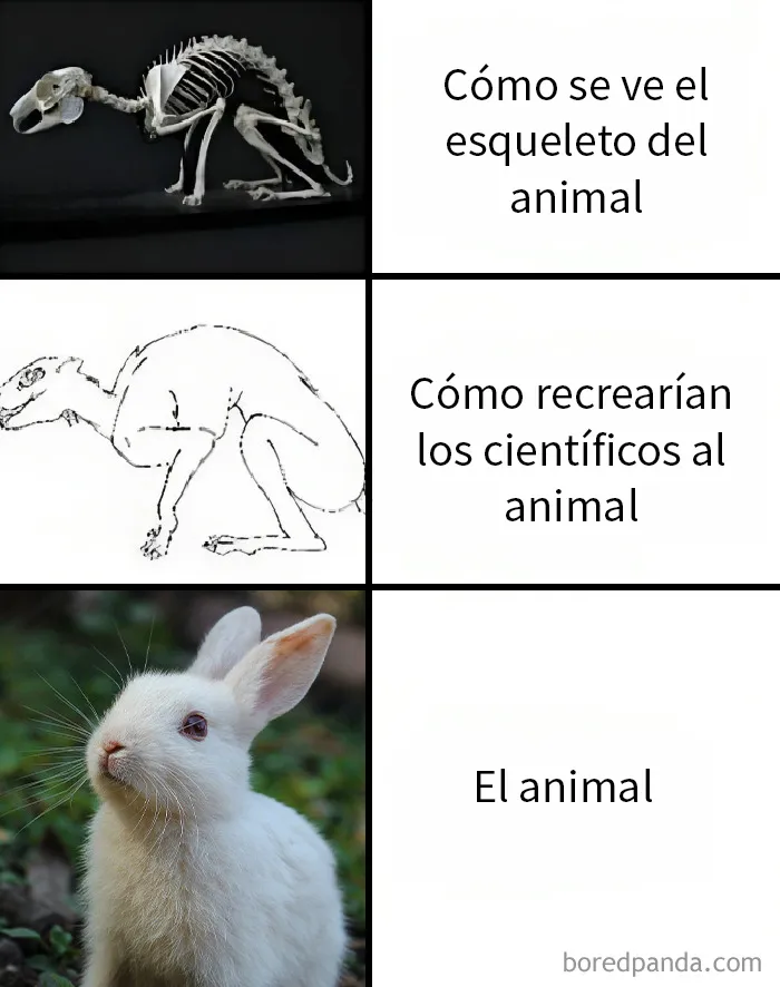 20 Ingeniosos memes sobre ciencia con los que aprendes y te ríes a la vez