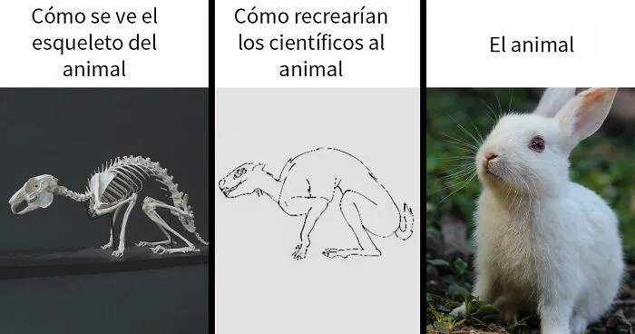 20 Ingeniosos memes sobre ciencia con los que aprendes y te ríes a la vez