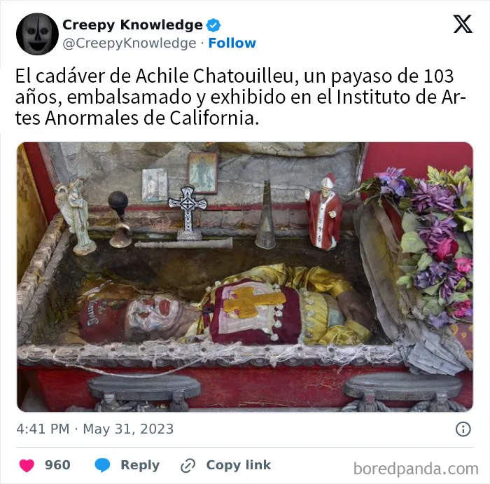 18 Datos inquietantes que no deberías leer a oscuras