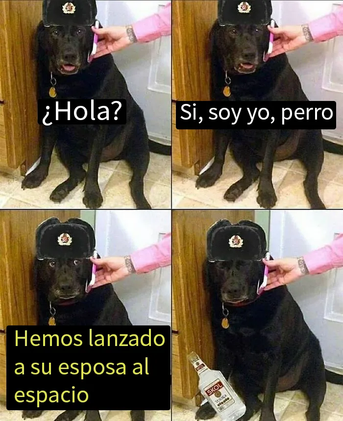 20 Memes de Historia tan divertidos como acertados (nuevas imágenes)