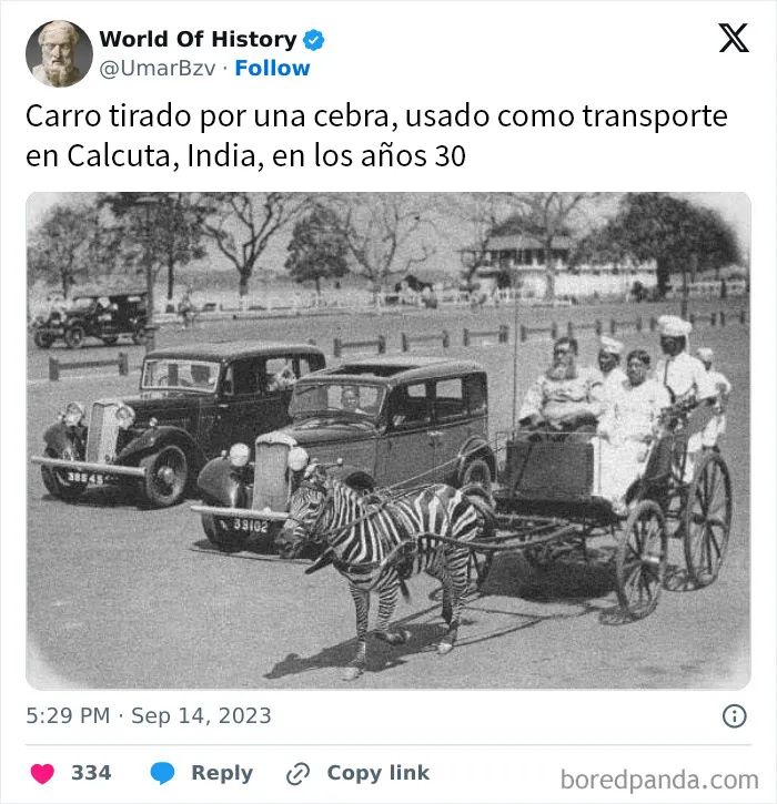 20 Fotos históricas para ver el pasado bajo una nueva luz