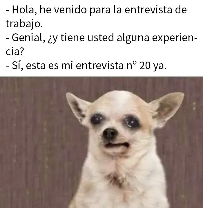 20 Memes para los que se toman Linkedin demasiado en serio