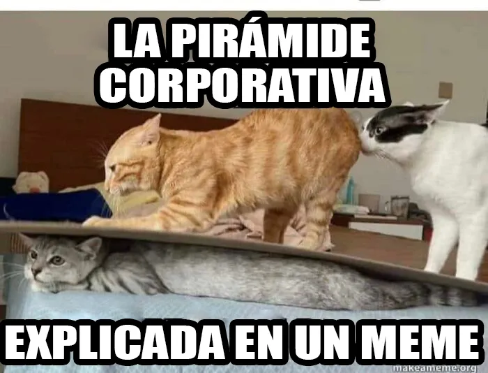 20 Memes para los que se toman Linkedin demasiado en serio