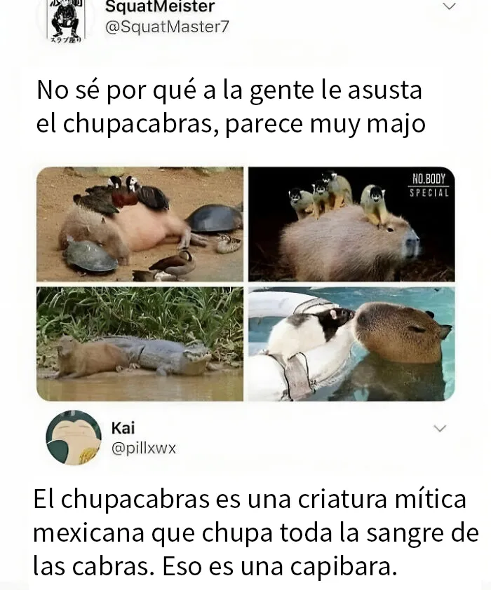 18 Divertidos memes para entusiastas de los juegos de palabras
