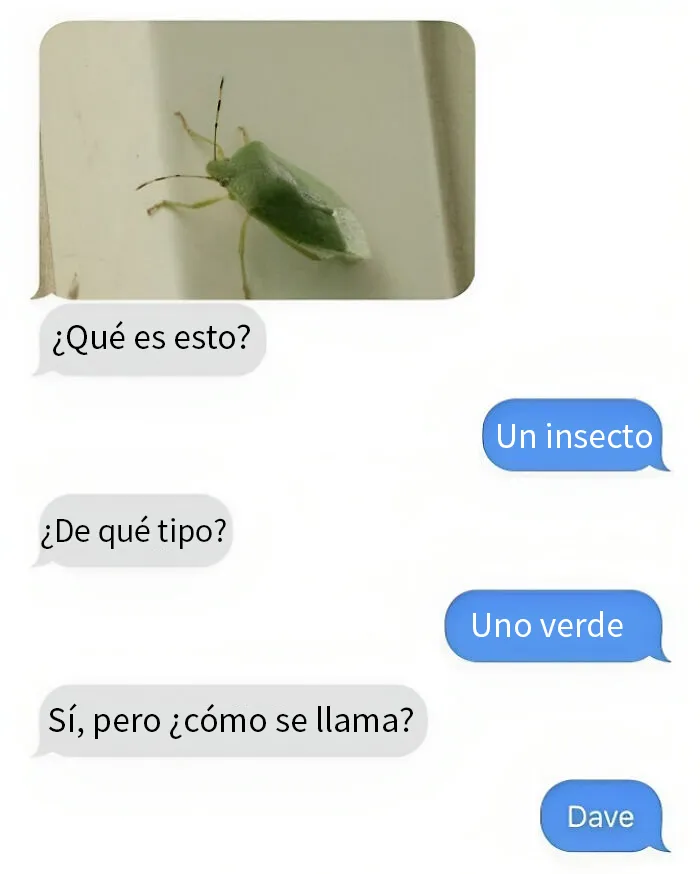 18 Divertidos memes para entusiastas de los juegos de palabras