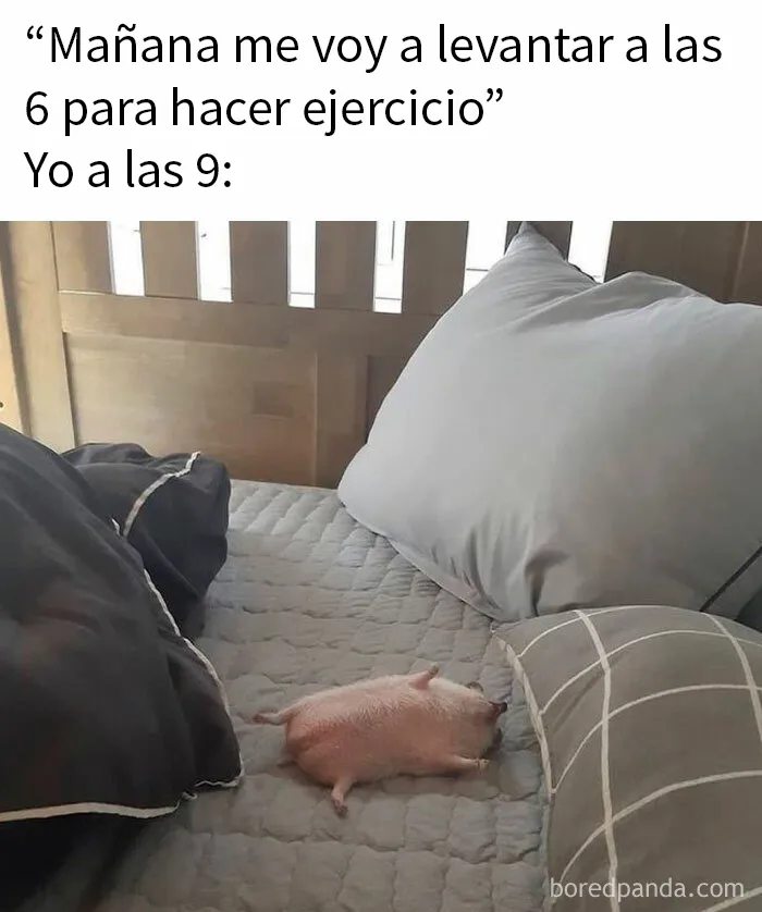 20 Nuevos memes que probablemente deberían ser discutidos con un terapeuta