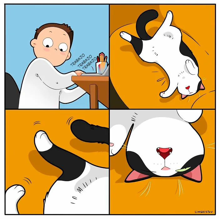 Una artista ilustra cómo es vivir con un gato (30 fotos nuevas)