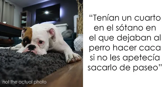 "¿Cuáles son las 'normas de la casa' más extrañas que te has encontrado al visitar a alguien?" (20 Respuestas)