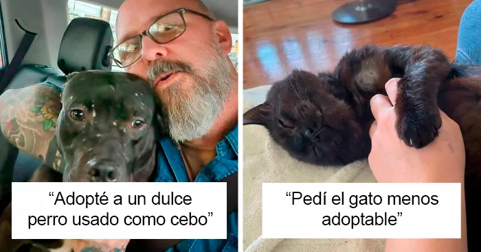 50 Adorables mascotas felices de volver a casa tras ser adoptadas (edición de noviembre)